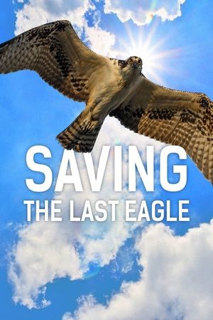 Saving The Last Eagle's poster