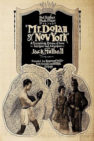 Mr. Dolan of New York's poster