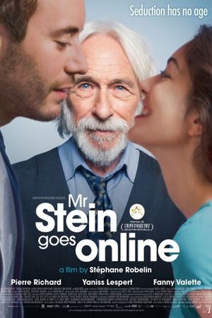 Mr. Stein Goes Online's poster