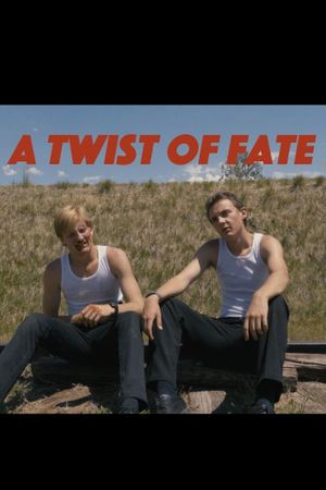 A Twist of Fate's poster