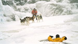 Eight Below's poster