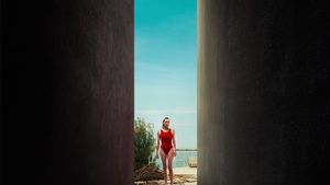 Visions's poster