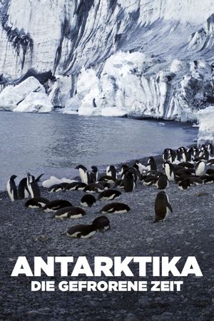 Antarctica: The Frozen Time's poster