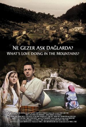 Ne Gezer Aşk Dağlarda?'s poster