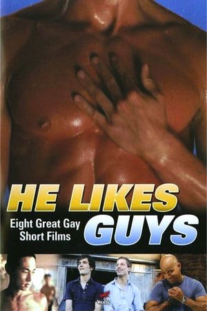 He Likes Guys's poster