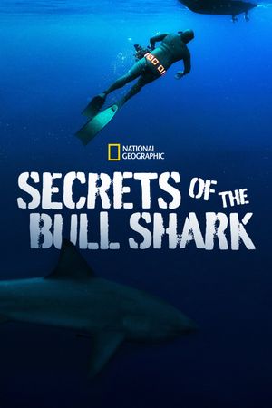 Secrets of the Bull Shark's poster