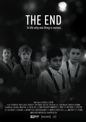 The End's poster image