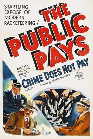 The Public Pays's poster
