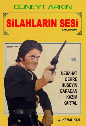 Silahlarin sesi's poster