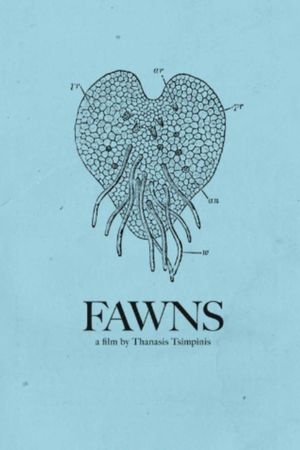 Fawns's poster