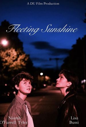 Fleeting Sunshine's poster image