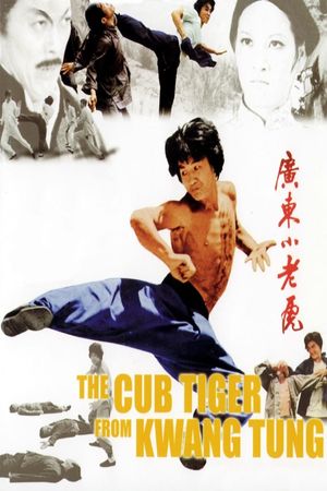 Snake Fist Fighter's poster
