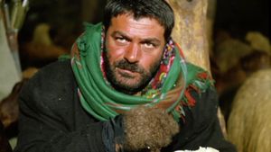 Muleteers's poster