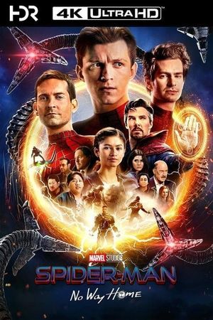 Spider-Man: No Way Home's poster