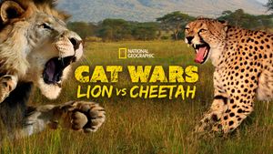 Cat Wars: Lion vs. Cheetah's poster