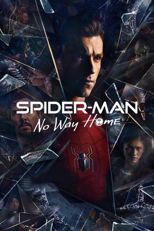 Spider-Man: No Way Home's poster