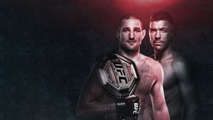 UFC 297: Strickland vs. du Plessis's poster