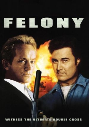 Felony's poster