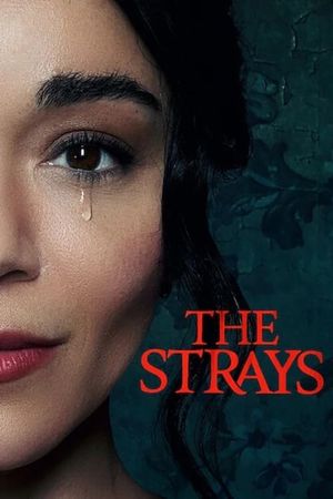 The Strays's poster