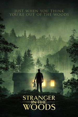 Stranger in the Woods's poster