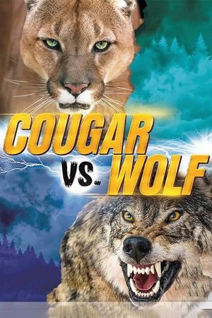 Cougar v. Wolf's poster