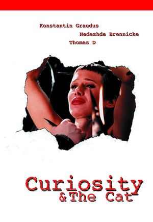 Curiosity & the Cat's poster