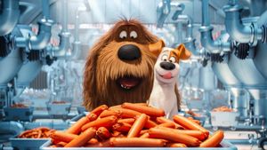 The Secret Life of Pets's poster