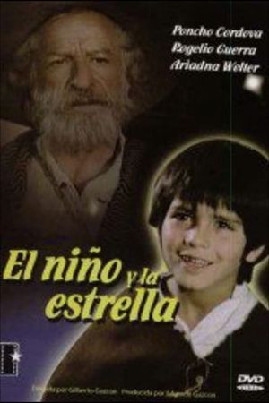 El niño y la estrella's poster