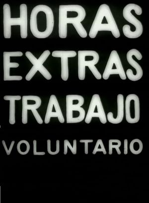 About Extra Hours and Volunteer Work's poster
