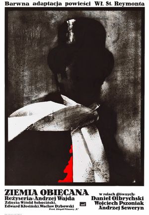The Promised Land's poster