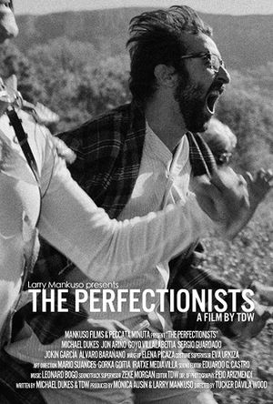 The Perfectionists's poster