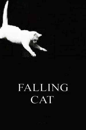 Falling Cat's poster