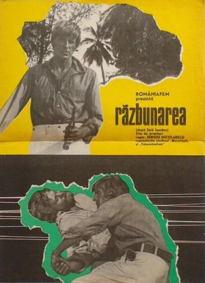 Razbunarea's poster