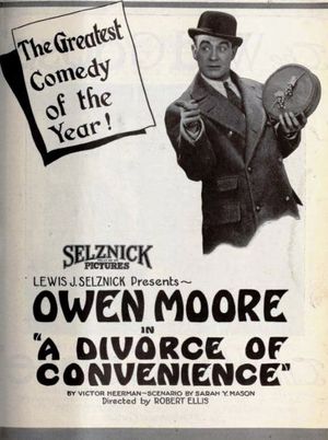 A Divorce of Convenience's poster image