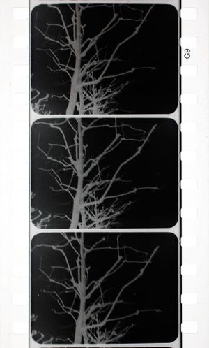 Arborescent Games: Fugue in Minor's poster