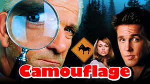 Camouflage's poster