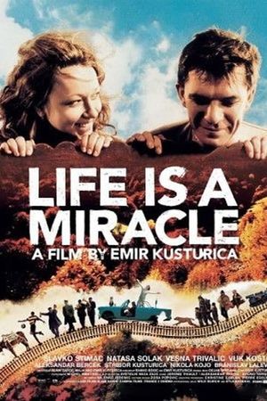 Life Is a Miracle's poster