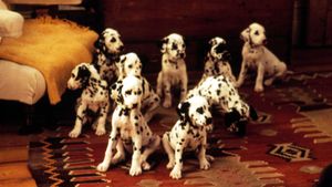 101 Dalmatians's poster