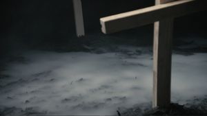 Lavender Rot's poster