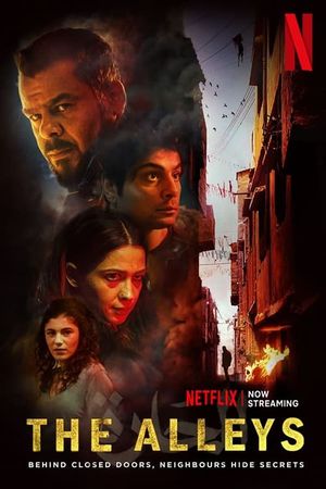 The Alleys's poster