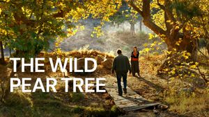 The Wild Pear Tree's poster