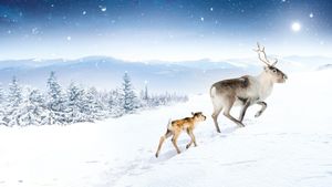 A Reindeer's Journey's poster