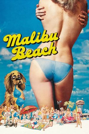 Malibu Beach's poster