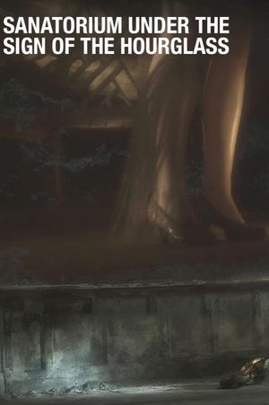 Sanatorium Under the Sign of the Hourglass's poster