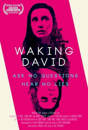 Waking David's poster