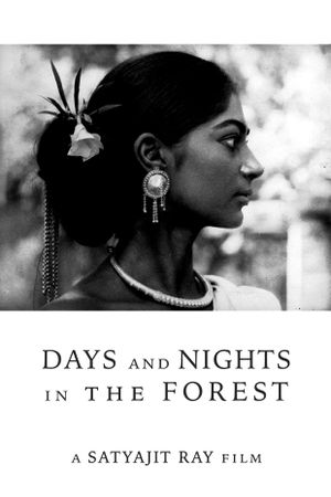 Days and Nights in the Forest's poster