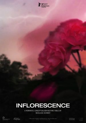 Inflorescence's poster
