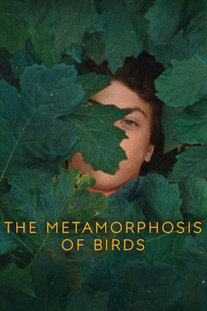 The Metamorphosis of Birds's poster