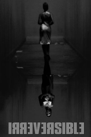 Irreversible's poster