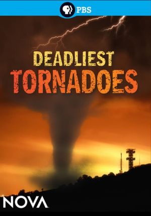 Deadliest Tornadoes's poster